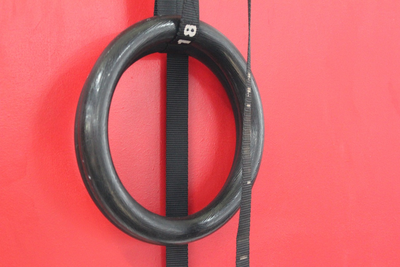 A black rubber ring hanging on a red wall. The ring is circular in shape and appears to be made of rubber or a similar materi...