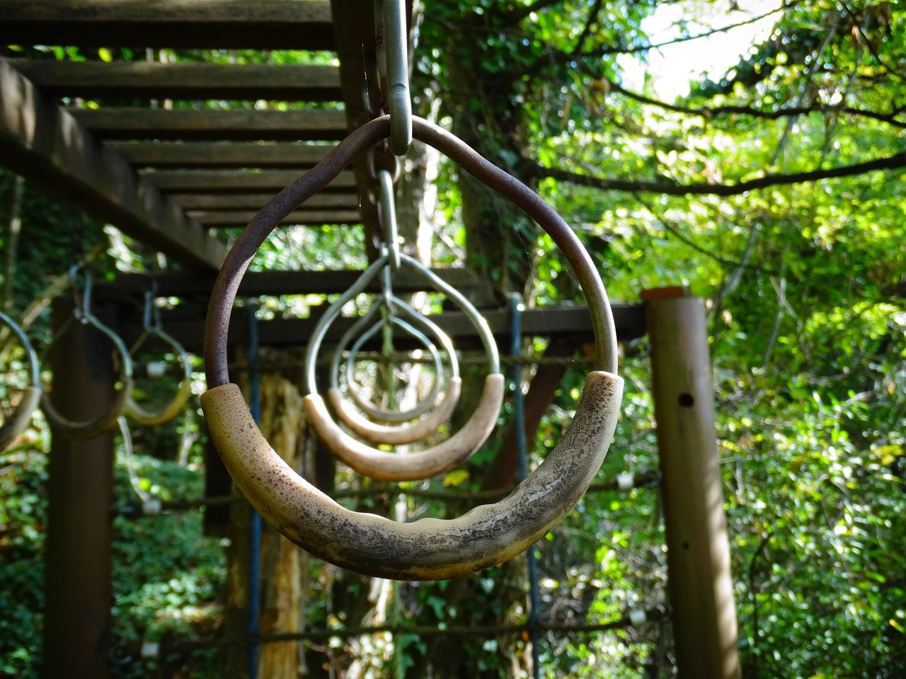 A group of metal rings hanging from a wooden structure in a forest. The rings are circular in shape and appear to be old and ...