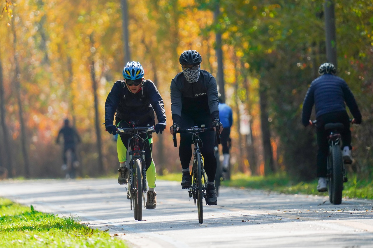 Three people riding bicycles on a paved road in a park during autumn. The road is surrounded by trees with orange and yellow ...