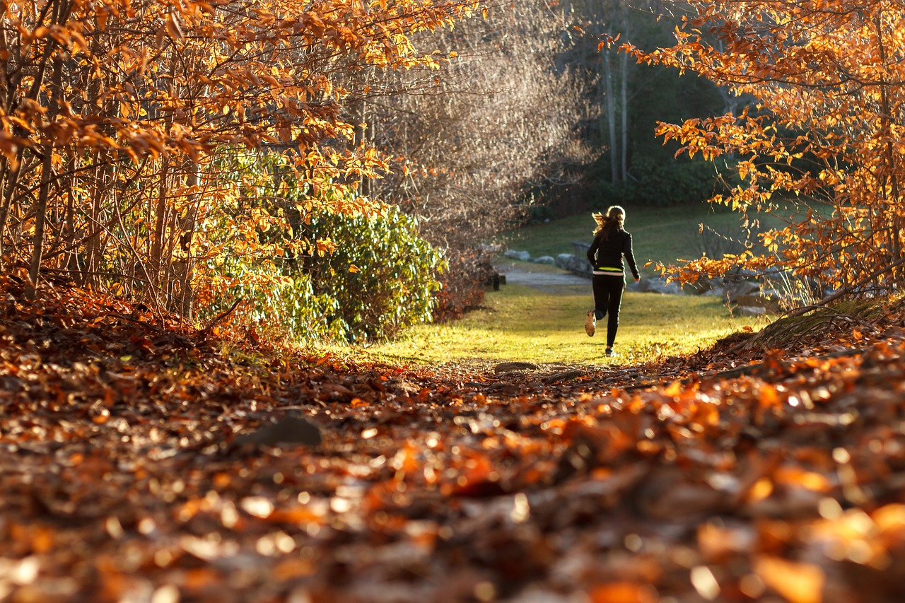 A person running on a path in a park during autumn. The path is covered in fallen leaves in various shades of orange, yellow,...