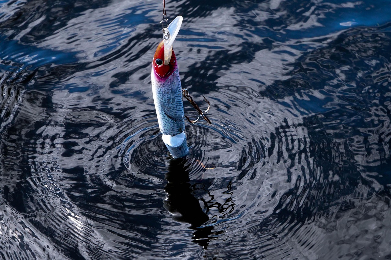 A fishing lure floating on the surface of a body of water. The lure is in the shape of a fish, with a long body and a pointed...